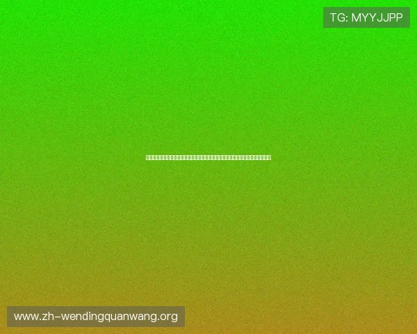 分析哈哈体育网站的内容布局和用户交互设计帮助提升网站访问效率和用户满意度